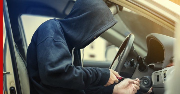 В Kia сделали упор на сотрудничество с…