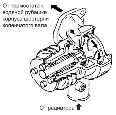 На одной стороне вала помпы установлена крыльчатка с герметизирующей…