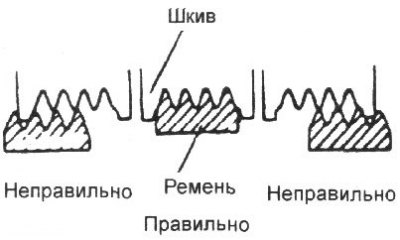 1. Проверьте состояние поликлинового…