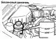 Checking the fluid level in the power steering reservoir