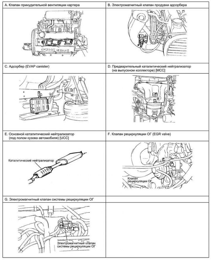 Fig. 2.349. Components of the toxicity…