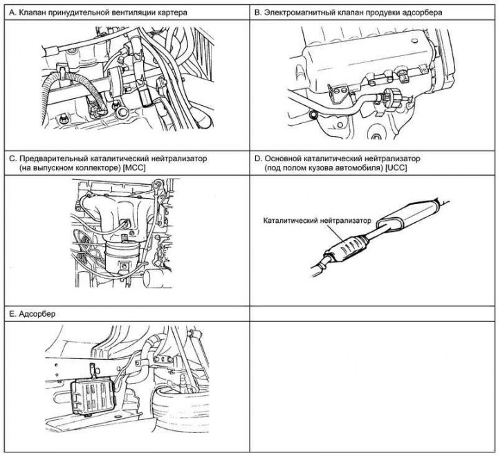 Fig. 2.351. Components of the toxicity…