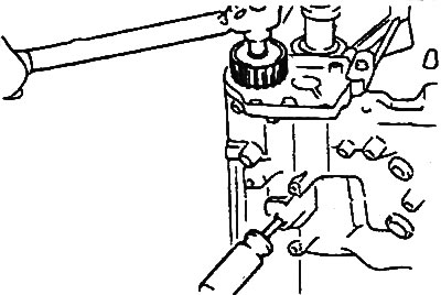 6. Insert a screwdriver into the plug…