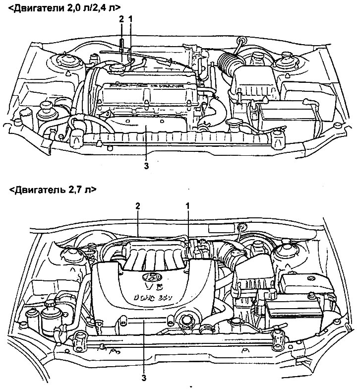 Расположение бачков под капотом Emission control system - general information (Hyundai Sonata 4 2001-2012, petro