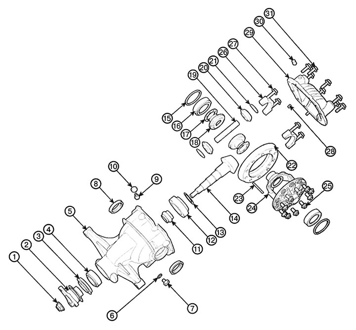 1. Pinion nut