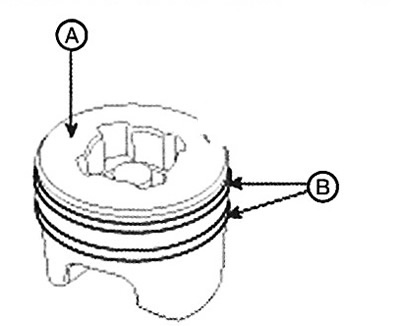 8. Remove the sealing ring (B) from the…